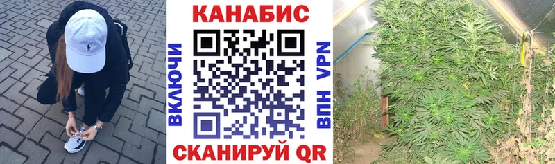 Бошки Шишки Amnesia  где продают   Красавино 